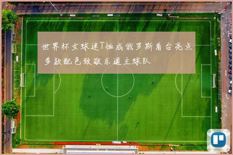 世界杯女球迷T恤成俄罗斯看台亮点 多款配色致敬东道主球队