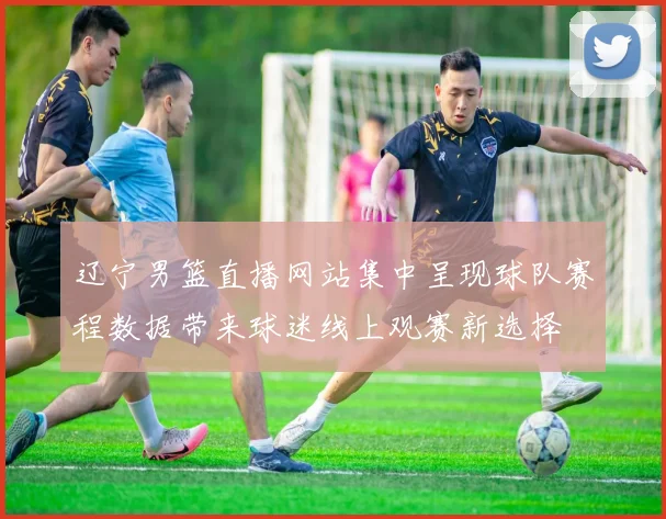 辽宁男篮直播网站集中呈现球队赛程数据带来球迷线上观赛新选择