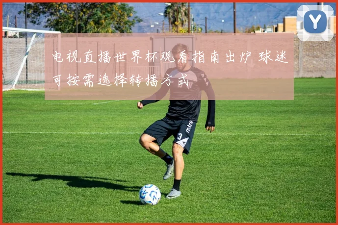 电视直播世界杯观看指南出炉 球迷可按需选择转播方式
