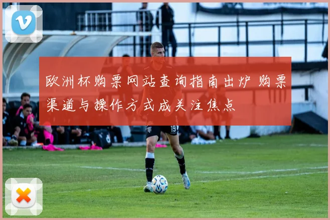 欧洲杯购票网站查询指南出炉 购票渠道与操作方式成关注焦点